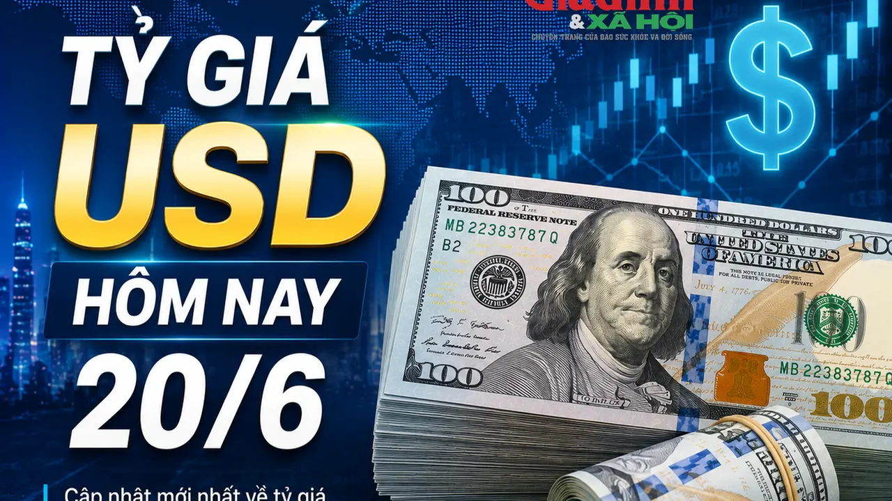 سعر الدولار في السوق السوداء يصل إلى 26600 دونغ فيتنامي اليوم.